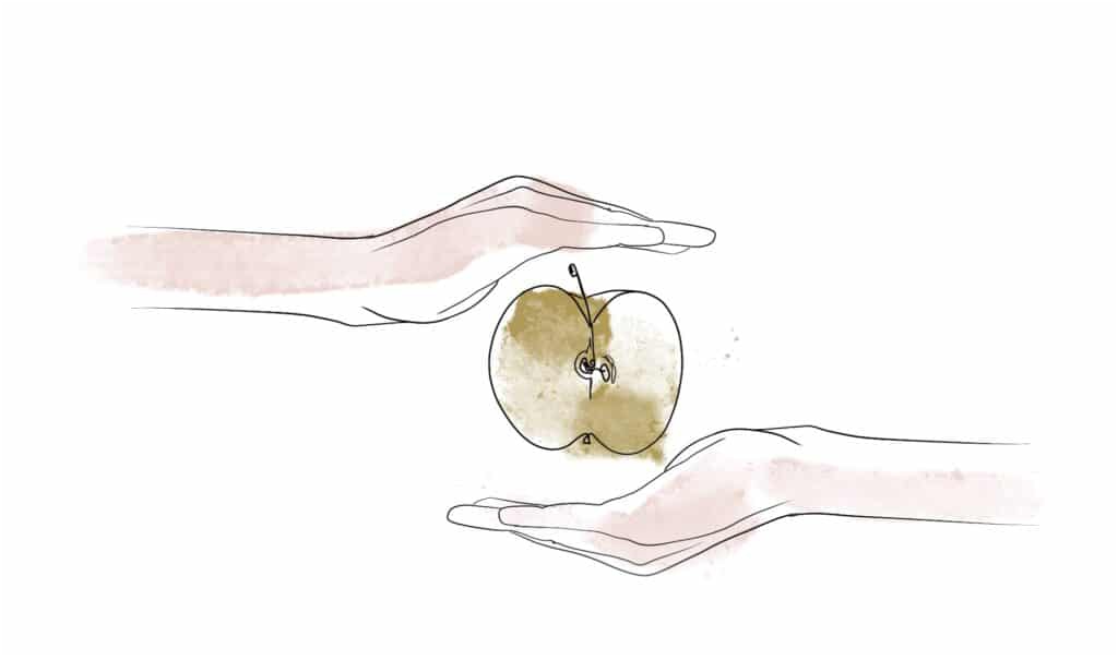 Due mani che porgono una mela tagliata a metà, illustrazione del servizio di nutrizionista di Alta Clinic Bergamo