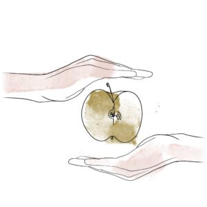 Due mani che porgono una mela tagliata a metà, illustrazione del servizio di nutrizionista di Alta Clinic Bergamo