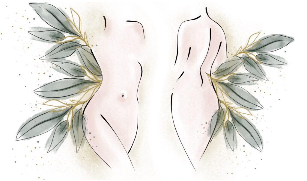 Due busti femminili con foglie e dettagli dorati, illustrazione dei percorsi corpo del centro Alta Clinic