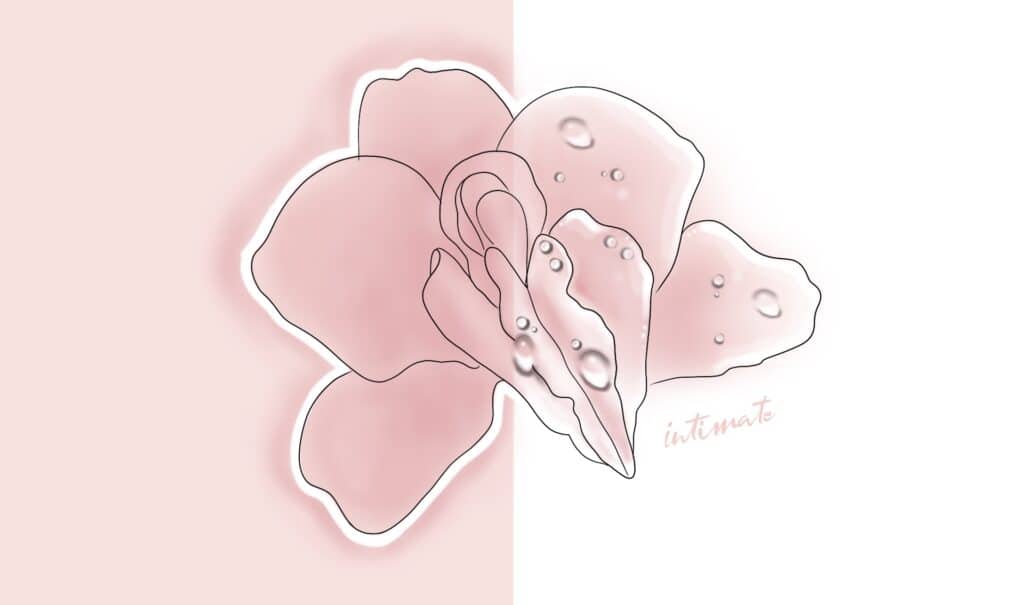 Orchidea rosa stilizzata su fondo rosa e bianco, grafica per il trattamento Femilift con laser CO2 vaginale di Alta Clinic