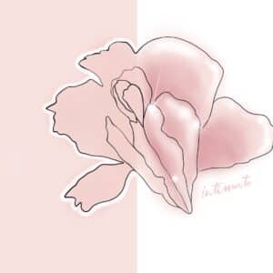 Orchidea rosa ad acquerello, grafica dedicata al filler per le grandi labbra genitali femminili a Bergamo