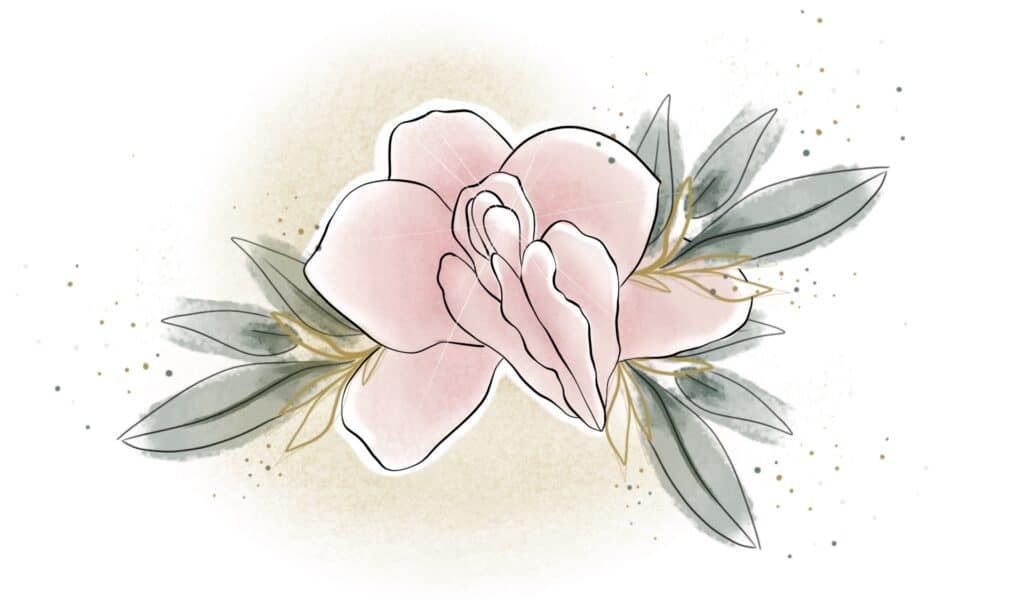 Orchidea rosa con foglie verdi ad acquerello, immagine della medicina estetica genitale femminile di Alta Clinic Bergamo