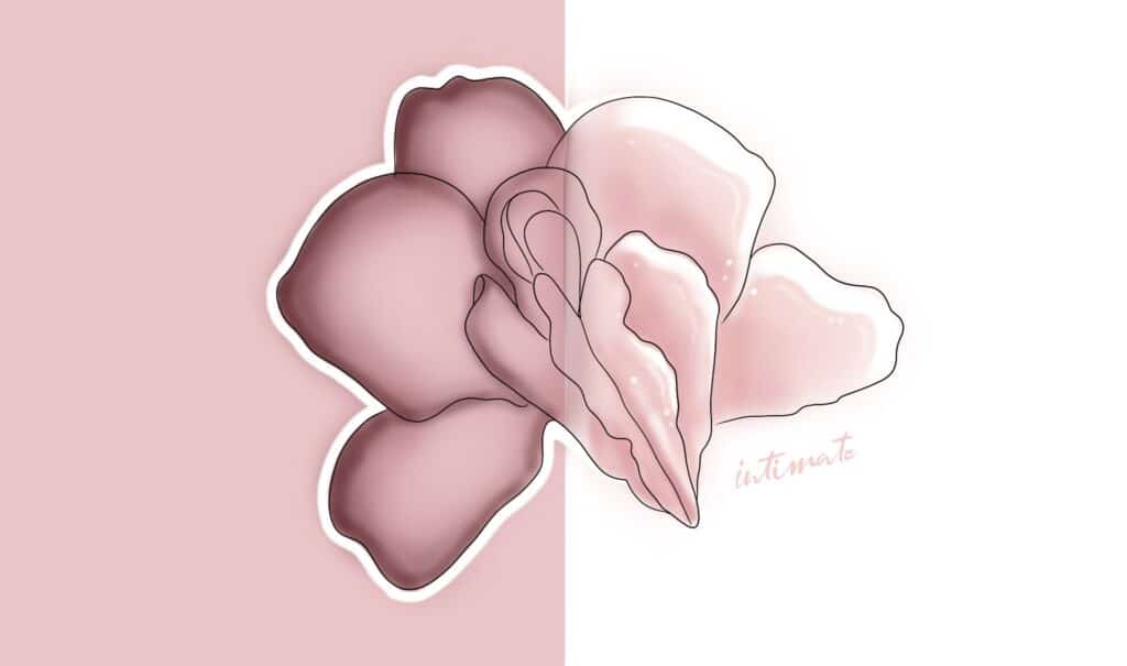 Orchidea rosa disegnata su sfondo rosato, grafica per il peeling e la depigmentazione delle zone intime ad Alta Clinic