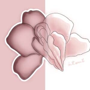 Orchidea rosa disegnata su sfondo rosato, grafica per il peeling e la depigmentazione delle zone intime ad Alta Clinic
