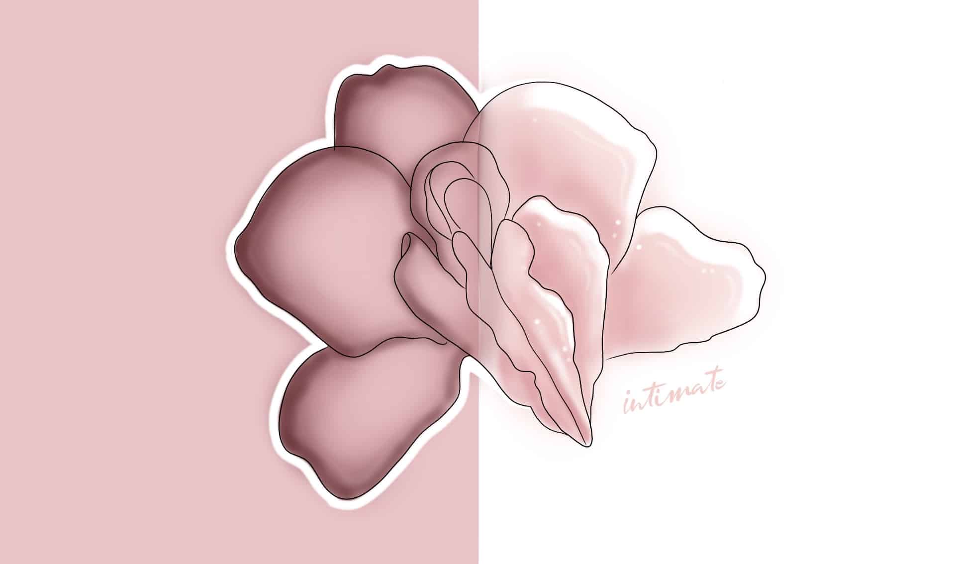 Orchidea rosa disegnata su sfondo rosato, grafica per il peeling e la depigmentazione delle zone intime ad Alta Clinic